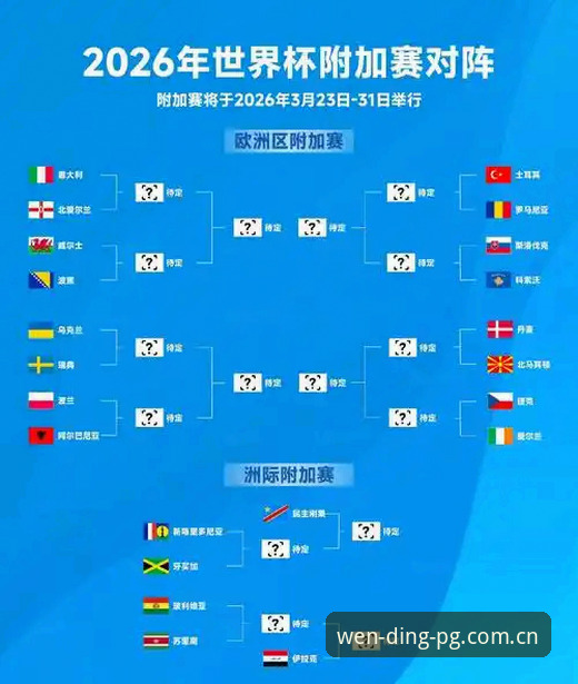 2026世界杯观赛体验评测：签证危机与地缘政治如何影响球迷赴美之旅